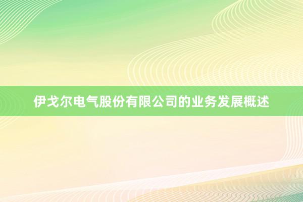 伊戈尔电气股份有限公司的业务发展概述