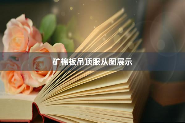 矿棉板吊顶服从图展示